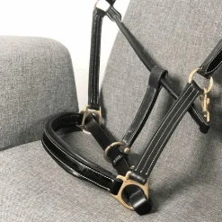 Outlet Chetak - Licol cheval Bright cuir doublé Noir