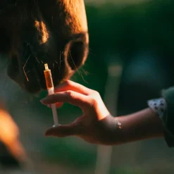 Sale Cura Naturale - Complément alimentaire pour chevaux soutien hépatique