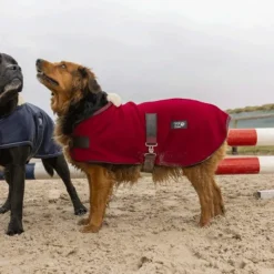 New Diego & Louna - Couverture pour chien polaire Teddy 280g Bordeaux