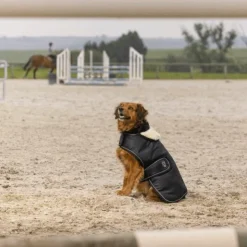 Diego & Louna - Couverture pour chien nylon 0g Noir Sale