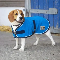 Hot Diego & Louna - Manteau pour chiens Polyfun vif 280g Bleu