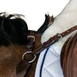 Dyon - Bricole élastique New English Collection Marron Clearance