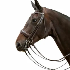 Online Dyon - Bride muserolle large mat Working by brun Marron