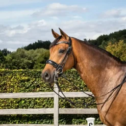 Clearance Dyon - Bride muserolle large matt Rond Leather Collection Noir