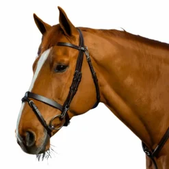 Dyon - Bridon cuir plat avec mousquetons Working by Havane Clearance