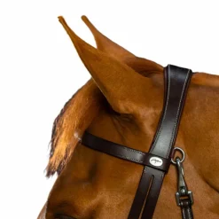 Dyon - Bridon cuir plat avec mousquetons Working by Havane Clearance