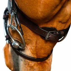 Dyon - Bridon cuir plat avec mousquetons Working by Havane Clearance