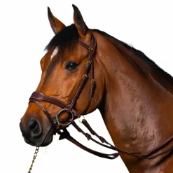 Dyon - Bridon D Motion D Collection têtière anatomique Havane Best