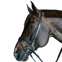 Dyon - Bridon de travail Working by cuir Noir