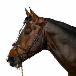 Dyon - Bridon Différence D Collection Havane Online