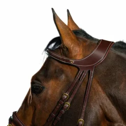 Dyon - Bridon Différence D Collection Havane Online