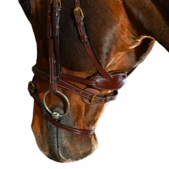 Dyon - Bridon Différence D Collection Havane Online