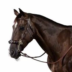 Dyon - Bridon hackamore US Collection Havane