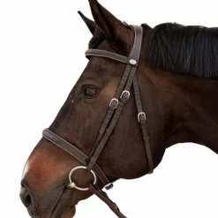 Dyon - Bridon Hunter Marron Online