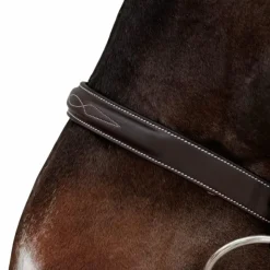 Dyon - Bridon Hunter Marron Online