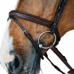 Outlet Dyon - Bridon muserolle combinée New English cuir Havane