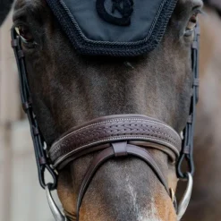 Dyon - Bridon muserolle combinée Tressé Pull Back Havane Hot