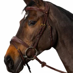 Hot Dyon - Bridon muserolle combinée anatomique D Collection Havane