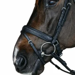 Outlet Dyon - Bridon muserolle combinée large new English tressé pull back cuir Noir