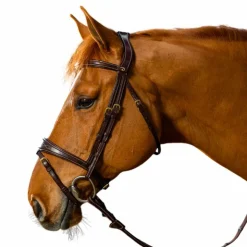 Sale Dyon - Bridon muserolle combinée anatomique D Collection Noir