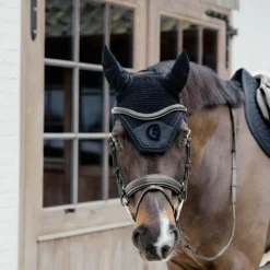 Clearance Dyon - Bridon muserolle combinée Tressé Pull Back Noir