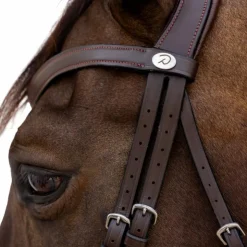 Dyon - Bridon muserolle combinée Flash Marron