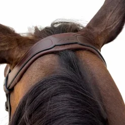 Dyon - Bridon muserolle combinée Flash Marron