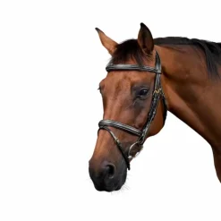 Hot Dyon - Bridon muserolle combinée Dy'on Collection Noir