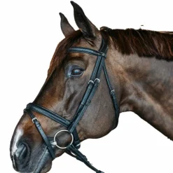 Best Dyon - Bridon muserolle combinée New English cuir Noir