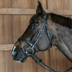 New Dyon - Bridon muserolle combinée avec mousquetons Working By Noir