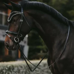 Sale Dyon - Bridon muserolle combinée large vernie Working By Noir