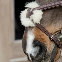 Dyon - Bridon muserolle croisée tressée Havane