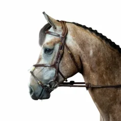 Dyon - Bridon muserolle croisée D Collection Havane Hot