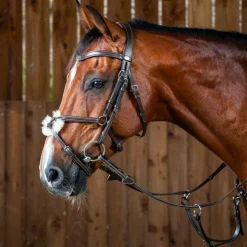 Best Dyon - Bridon muserolle croisée Working by Havane