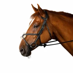 New Dyon - Bridon muserolle croisée New English Collection Noir