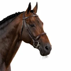 Dyon - Bridon muserolle française US Collection Havane New