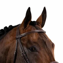 Dyon - Bridon muserolle française US Collection Havane New