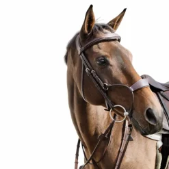 Outlet Dyon - Bridon muserolle hybride New English Collection Havane