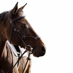 Outlet Dyon - Bridon muserolle hybride New English Collection Havane