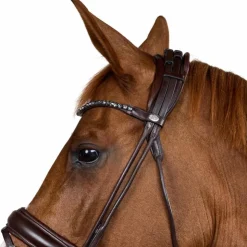Dyon - Bridon muserolle large Round avec frontal à cristaux Marron New