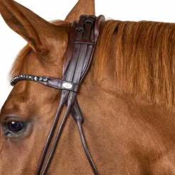 Dyon - Bridon muserolle large Round avec frontal à cristaux Marron New