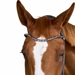 Dyon - Bridon muserolle large Round avec frontal à cristaux Marron New