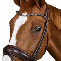 Dyon - Bridon muserolle large Round avec frontal à cristaux Marron New