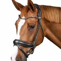 Dyon - Bridon muserolle large Round avec frontal à cristaux Noir