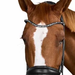 Dyon - Bridon muserolle large Round avec frontal à cristaux Noir