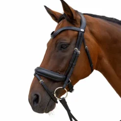 Clearance Dyon - Bridon muserolle Medium Noir