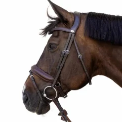 Dyon - Bridon muserolle Medium Marron Clearance