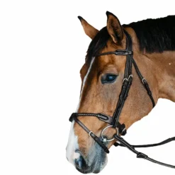 Clearance Dyon - Bridon muserolle tressée sous-barbe amovible cuir Noir