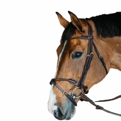 Hot Dyon - Bridon muserolle tressée sous-barbe amovible cuir Havane