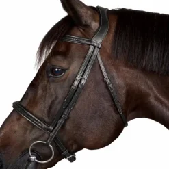 Dyon - Bridon New English Collection Marron Best